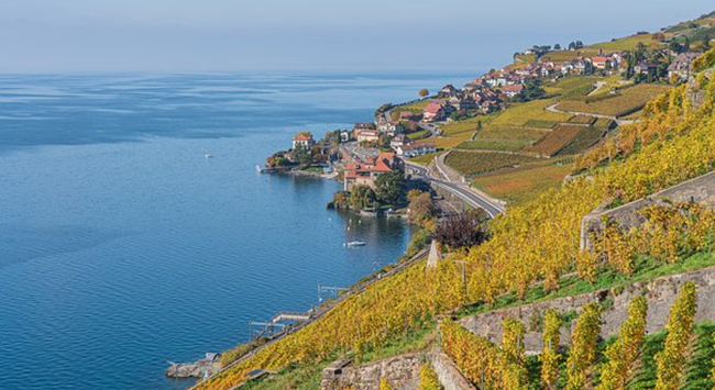 1649907686119 1649907686119