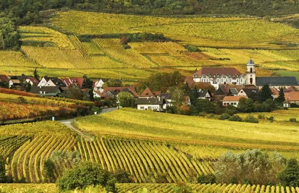 AOC葡萄酒產區(qū)