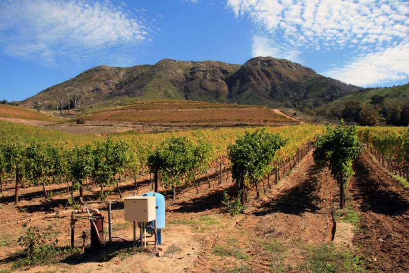 開普敦水荒,南非葡萄酒何去何從